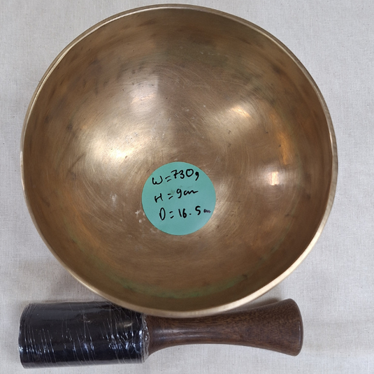 Handcrafted Singing Bowl Set with Cushion and Mallet (Style H) – 730g image 1