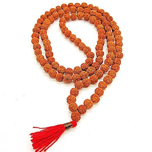 Rudraksha Seed Necklace image 1
